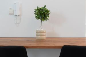 The White House minimal apartments