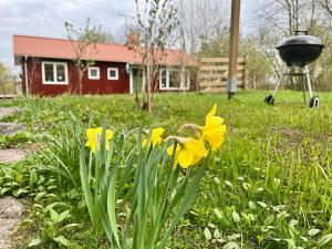 Lidhem herrgård. Bed & Breakfast och mindre lägenheter
