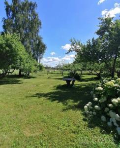 Atpūtas māja Pipars