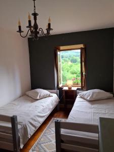Maisons de vacances L-Amour Triomphe : photos des chambres
