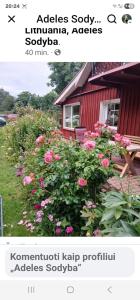 Namelis nr 2 Adelės sodyba