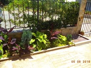 Sveti Georgi Guest House