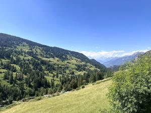 Appartements AL Cosy in Vars Ski & Nature : photos des chambres