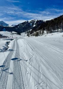 Appartements AL Cosy in Vars Ski & Nature : photos des chambres