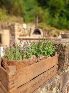 Maisons de vacances L-Amour Triomphe : photos des chambres