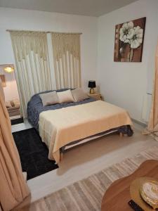 Ideal 50 m2 terrace, free parking