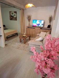 Appartements Ideal 50 m2 terrace, free parking : photos des chambres