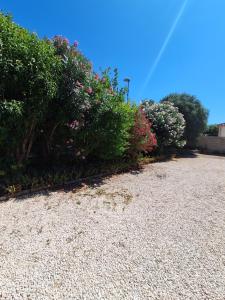 Maisons de vacances Family villa in Salles-d-Aude : photos des chambres