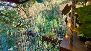 Apartamento Central Campestre 2