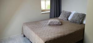 Villa Pine Forest by the Baltic Sea