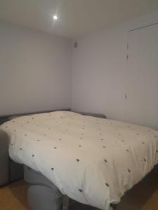 Appartements Baccarat - Cristal Appartement - 25m2 : photos des chambres