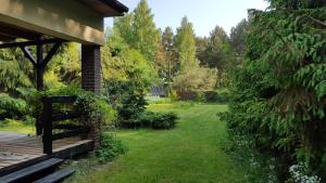 Kofi Garden