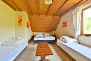 Villas Maison de charme 300m2 Haslach 15 personnes grande salle a manger - Belles vues ! : photos des chambres