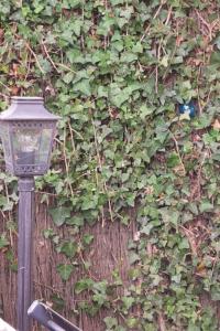 Type 2 hypercentre 100 m de la mer