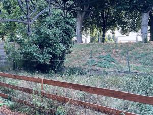 T3-dans le verdure TRES CALME A SCHILTIGHEIM