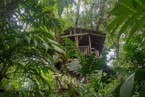 Sarapiquí Xperience Lodge