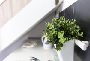 Budapest Central Private Lofts