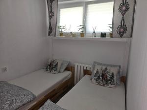 Apartament przy Krupówkach Szarotka