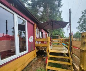 Domek w Zwierzęcym Azylu