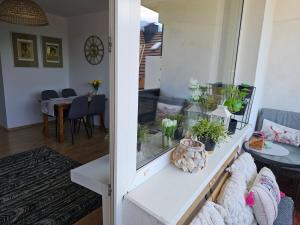 Apartament przy Krupówkach Szarotka