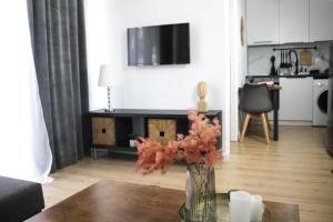 DOWN TOWN Luxurious Apartments III