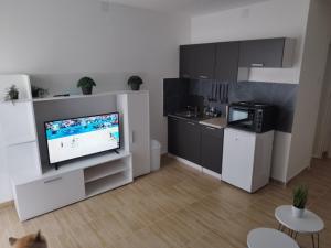 Silverapartmani Srebrno jezero