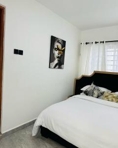 Travel and Apartment