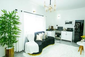 Travel and Apartment