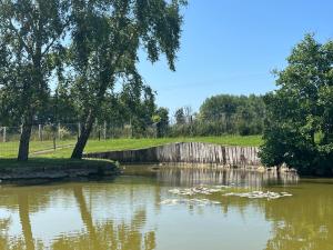 Maisons d'hotes Eden aux hirondelles : photos des chambres