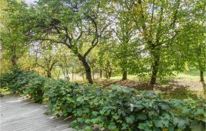 Ferienwohnung In Limbach