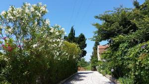 Alexandros Studios Apartments Corfu Greece