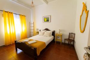 Natur - Quinta Nª Srª da Conceição - T4 - Golegã