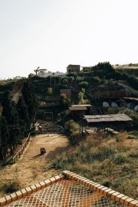 Ghar El Melh Outdoors