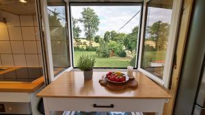 Treetop Apartment - Zwischen Schwarzwald und Schwäbischer Alb