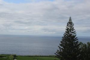 Vista Horizonte
