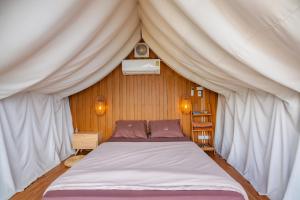 เต็นท์ดูดาว1 แอร์ ม่อนแจ่ม วิวดอยหลวงเชียงดาว