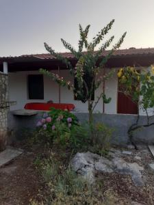 Secluded house with a parking space Cove Tudorovica, Korcula - 11426