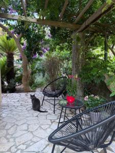 Apartments with a parking space Mali Losinj (Losinj) - 16903 