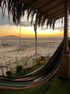 Casa Lobos Negгitos