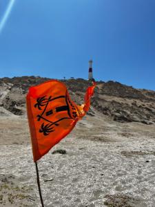 Casa Lobos Negгitos