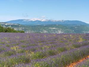 Maisons de vacances Vacation Home in Provence near Mont Ventoux : photos des chambres