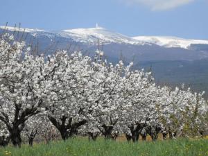 Maisons de vacances Vacation Home in Provence near Mont Ventoux : photos des chambres