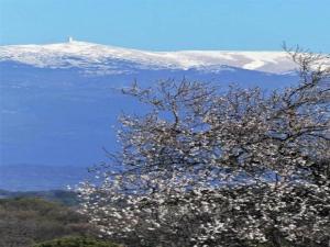 Maisons de vacances Vacation Home in Provence near Mont Ventoux : photos des chambres