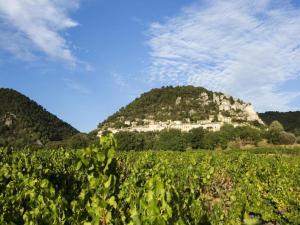 Villas Mansion in Provence with Pool & Near Town, cleaning included : photos des chambres