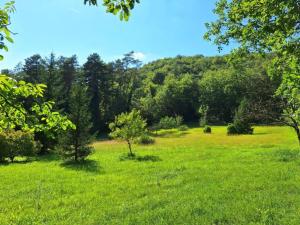 Appartements Apartment in Les Eyzies near Font-de-Gaume : photos des chambres