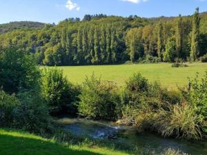 Appartements Apartment in Les Eyzies near Font-de-Gaume : photos des chambres