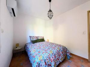 Maison familiale avec terrasse et jardinet à Banyuls - FR-1-309-532