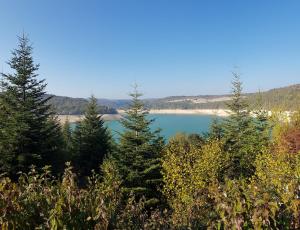 Chalet chaleureux - Ecureuil