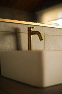 La Belle Hollow Trees