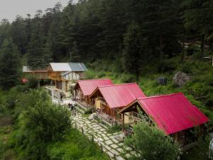 Himalayan Cedar Nest